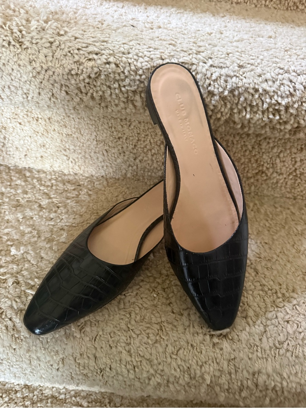 Club Monaco Black Croc-Embossed Pointed Slingback Mules